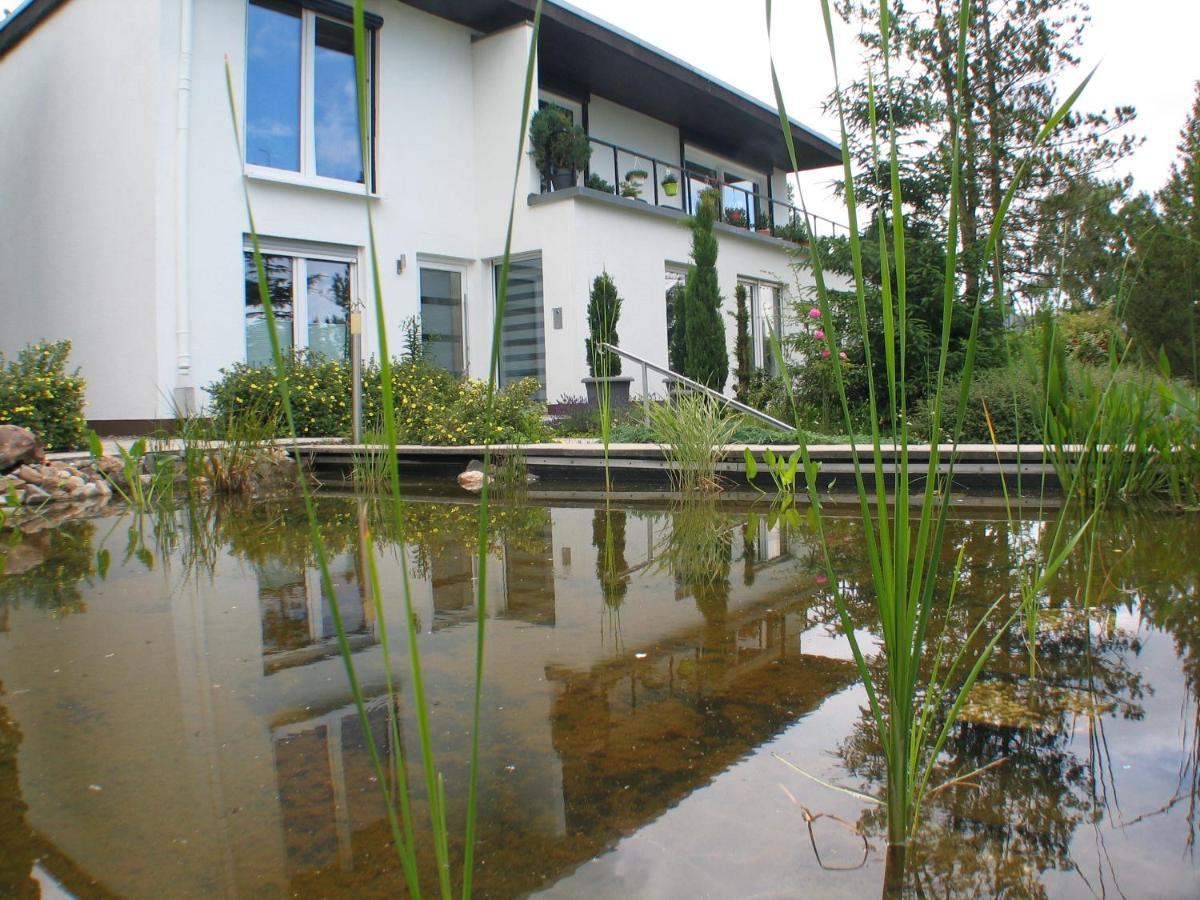 Ferienwohnung In Waldrandlage Zierenberg エクステリア 写真
