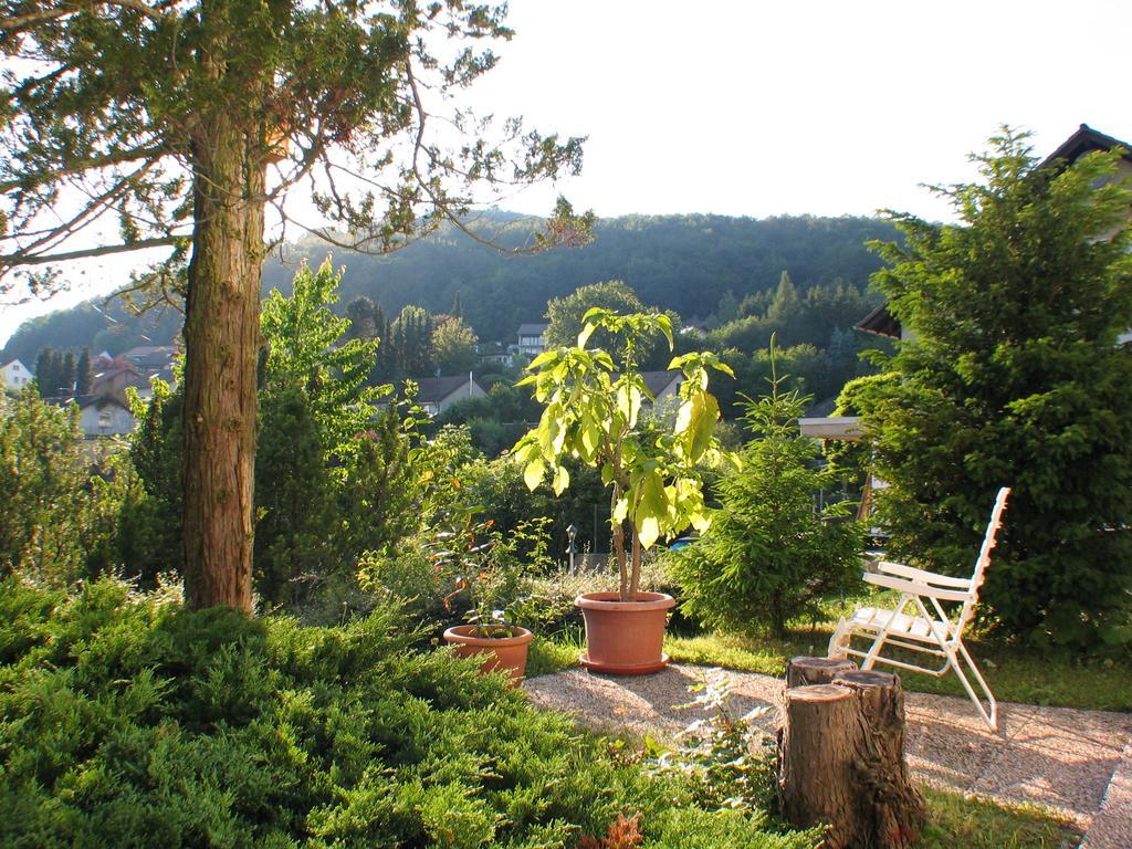 Ferienwohnung In Waldrandlage Zierenberg エクステリア 写真
