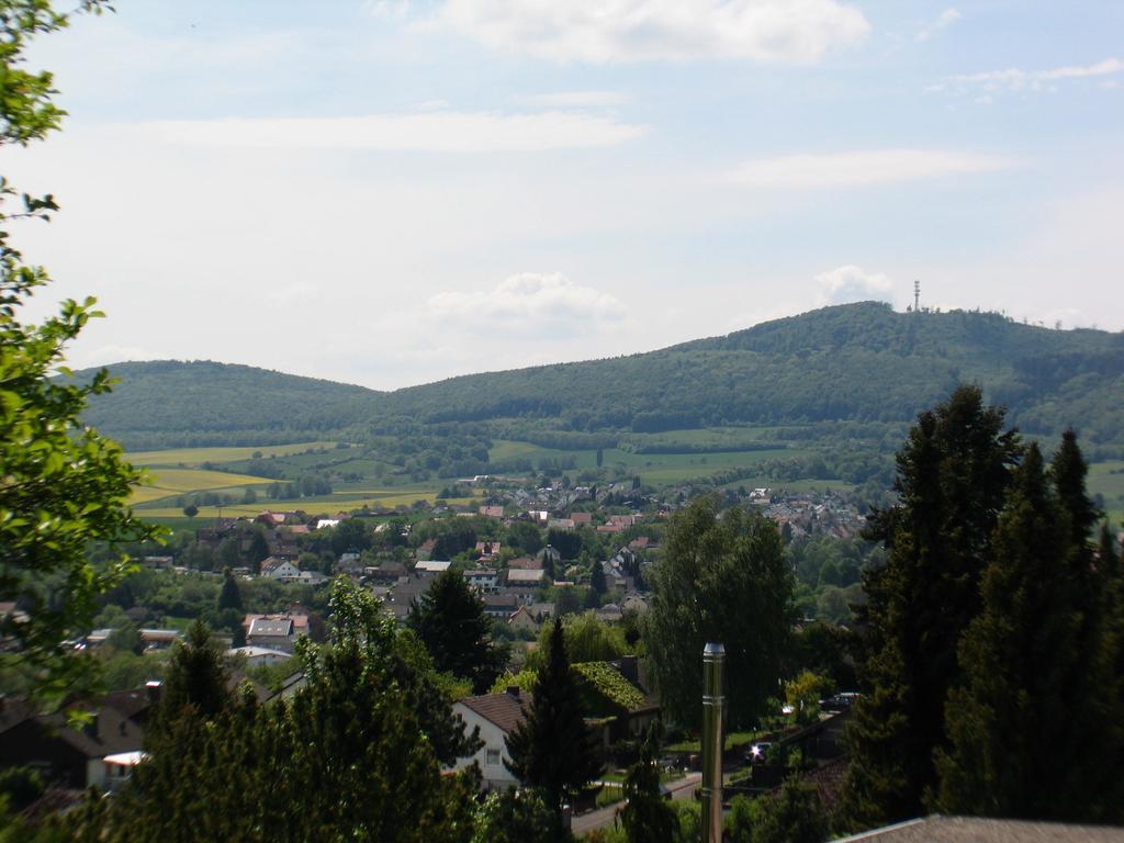 Ferienwohnung In Waldrandlage Zierenberg エクステリア 写真